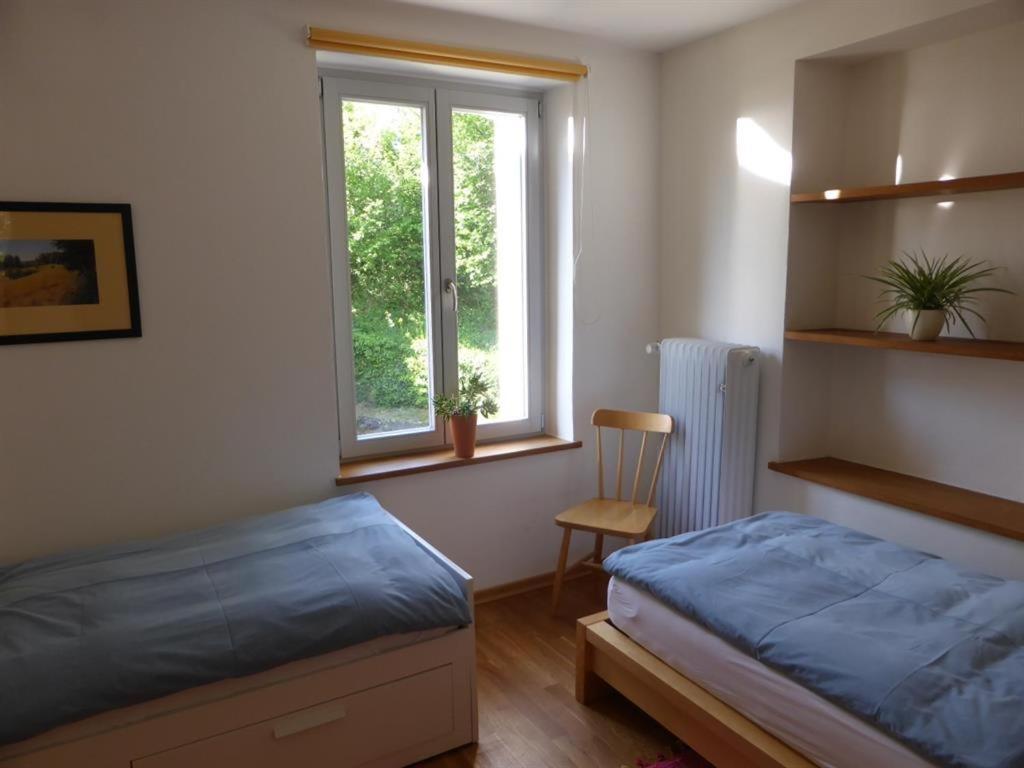 Irreler Muehle Ferienwohnungen Und Ferienhaeuser エクステリア 写真